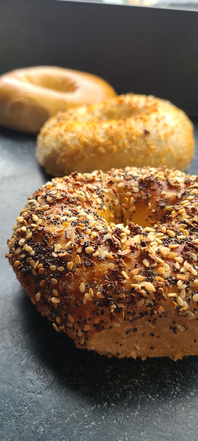 Bagels and Spreads Bullfrog Bagels