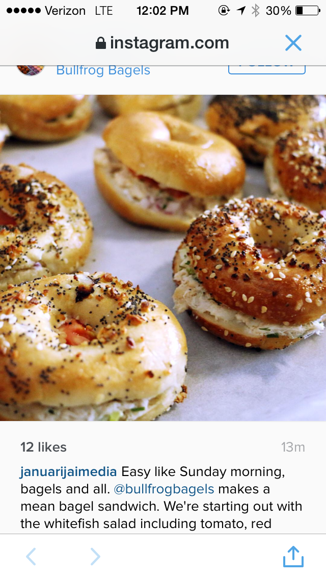 Bagels and Spreads Bullfrog Bagels